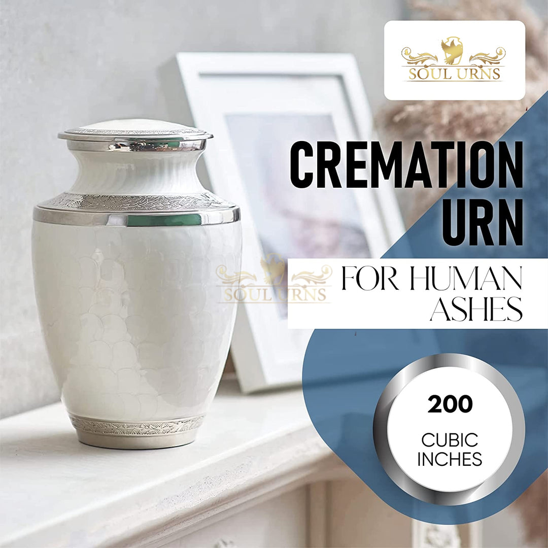 SOULURNS Pearl White Cremation Urn for Human Ashes – Elegant Scalloped Enamel Urn with Embossed Band, Large Adult Funeral Urn
